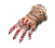 AiorosBrace(R)